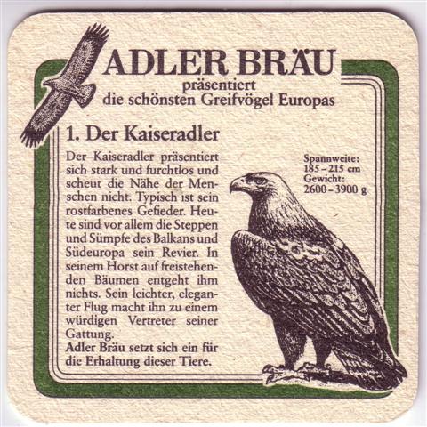 zuzenhausen hd-bw dachs adler greif 2b (quad180-1 der kaiseradler)